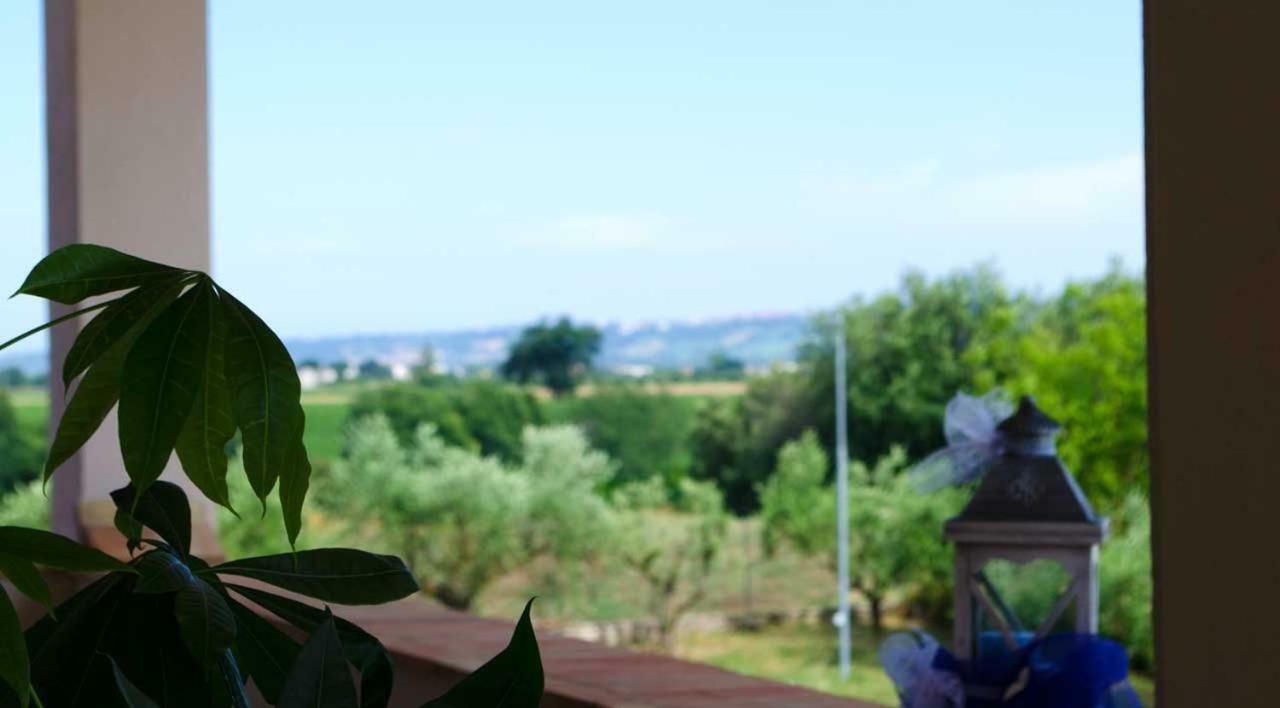 B&B Armonia Montecosaro  Екстер'єр фото