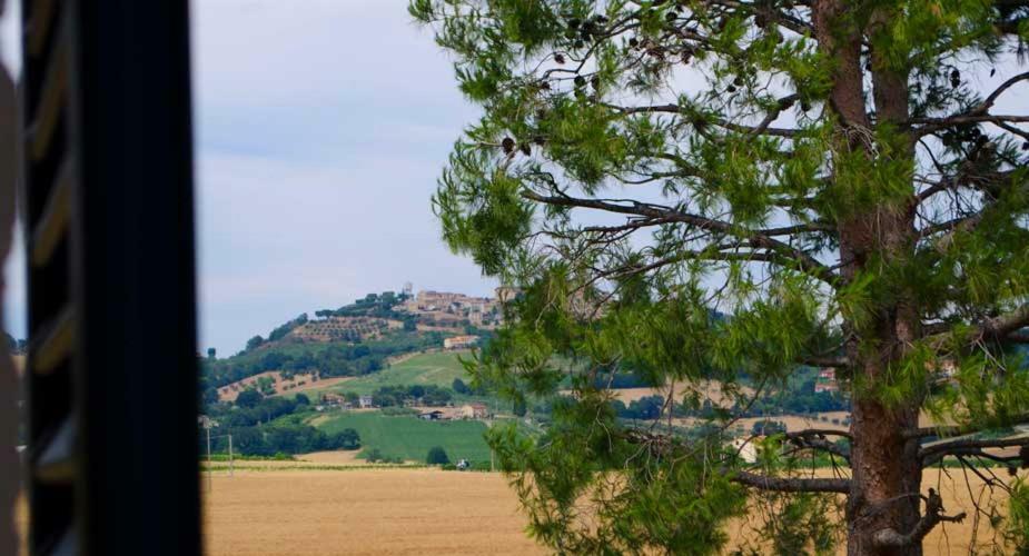 B&B Armonia Montecosaro  Екстер'єр фото